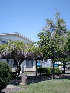 070617_1310~0001.jpg