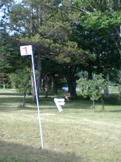 070705_1641~0001.jpg