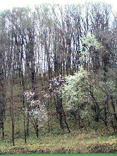 070520_1141~0001.jpg 070520_1141~0001.jpg