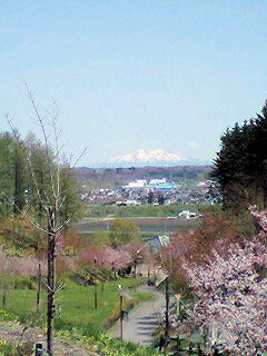 070521_1216~0002.jpg