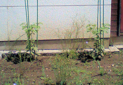 HI370020.JPG HI370020.JPG