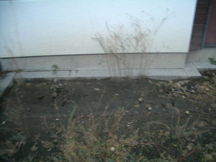 CIMG1254.JPG