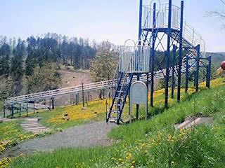 070521_1137~0001.jpg
