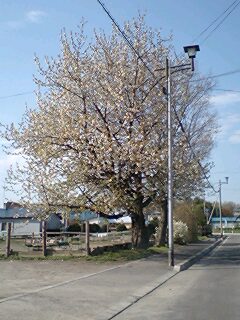 070522_0710~0001.jpg