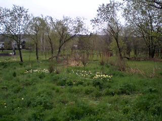 070520_1132~0001.jpg 070520_1132~0001.jpg