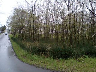 070520_1130~0001.jpg 070520_1130~0001.jpg