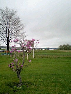 070520_1153~0002.jpg