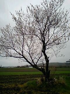 070520_1020~0001.jpg