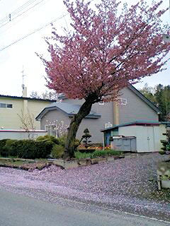 070520_1213~0001.jpg