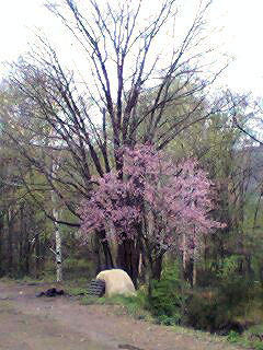 070520_1048~0001.jpg 070520_1048~0001.jpg