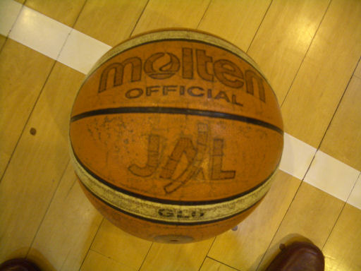 CIMG0537.JPG