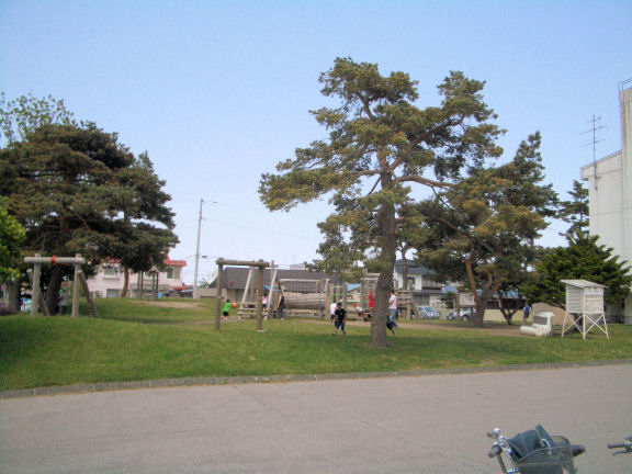 CIMG0390.JPG