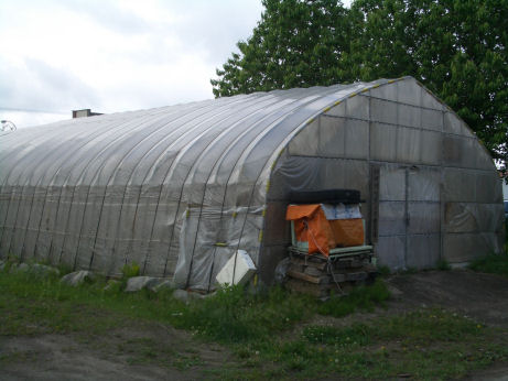 CIMG0461.JPG