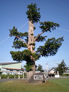070707_0601~0001.jpg