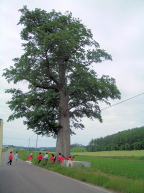 CIMG1366.JPG