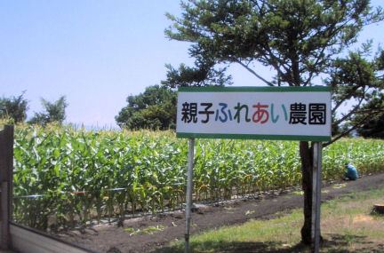 P13ふれあい農園.JPG