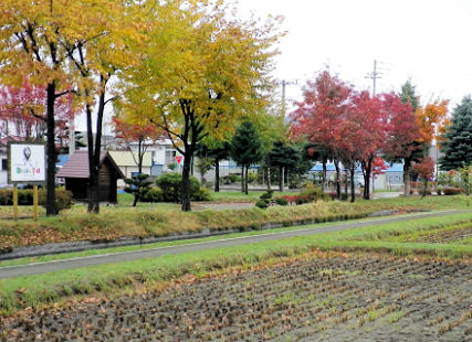 1023_田んぼの学校.jpg