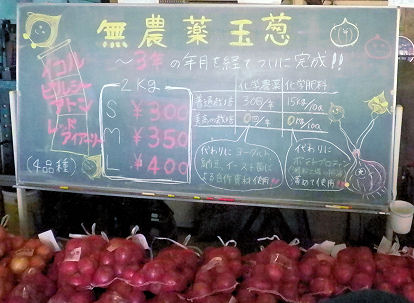 1022_チャレンジ！玉葱.jpg