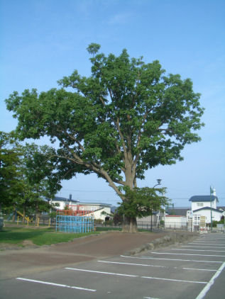 CIMG4787.JPG