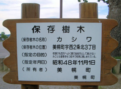 CIMG4404.JPG