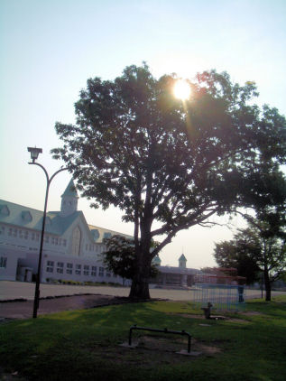 CIMG4788.JPG