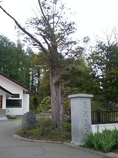 070530_1039~0001.jpg