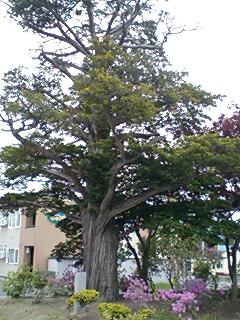 070606_1046~0002.jpg