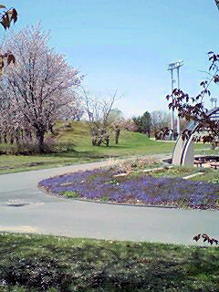 070521_1055~0001.jpg 070521_1055~0001.jpg