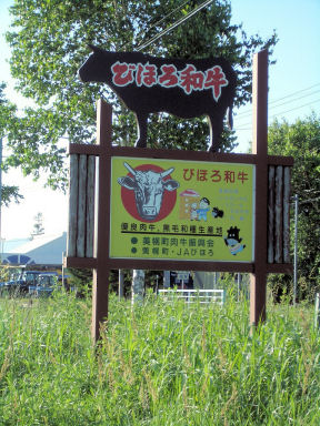 CIMG1433.JPG