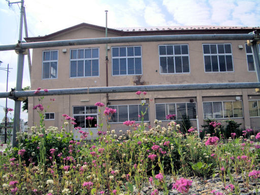 CIMG0833.JPG CIMG0833.JPG