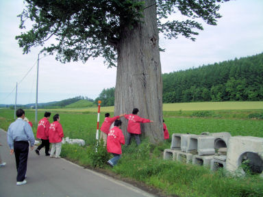 CIMG1365.JPG