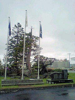 070519_0803~0001.jpg