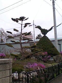 070511_1647~0002.jpg