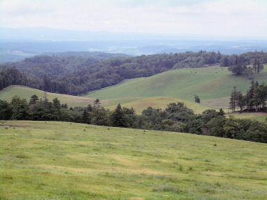 CIMG1327.JPG