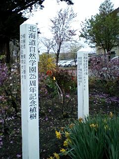 070520_1241~0002.jpg