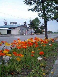 070530_1049~0001.jpg