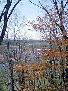 070521_1113~0001.jpg 070521_1113~0001.jpg