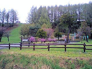 070520_1034~0002.jpg