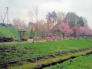 070518_1515~0001.jpg 070518_1515~0001.jpg