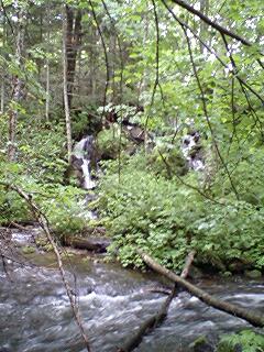 070706_1058~0001.jpg