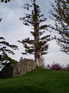 070521_1535~0001.jpg