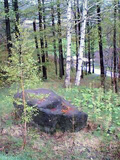 070520_1051~0001.jpg 070520_1051~0001.jpg