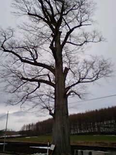 070411_1613~0001.jpg