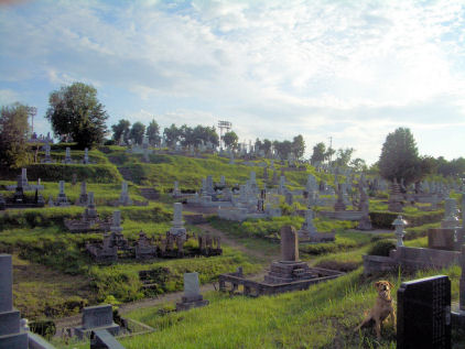 CIMG5458.JPG