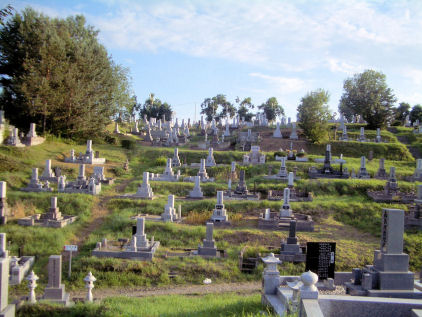 CIMG5457.JPG
