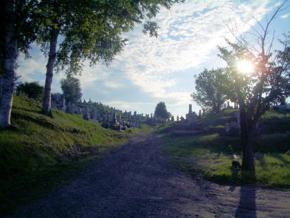 CIMG5441.JPG