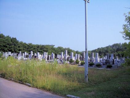 CIMG4885.JPG