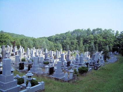 CIMG4886.JPG