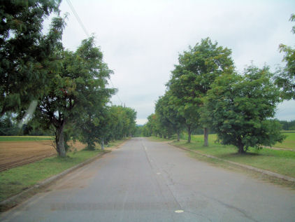 CIMG1610.JPG