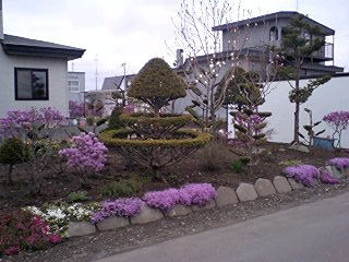 070511_1619~0001.jpg